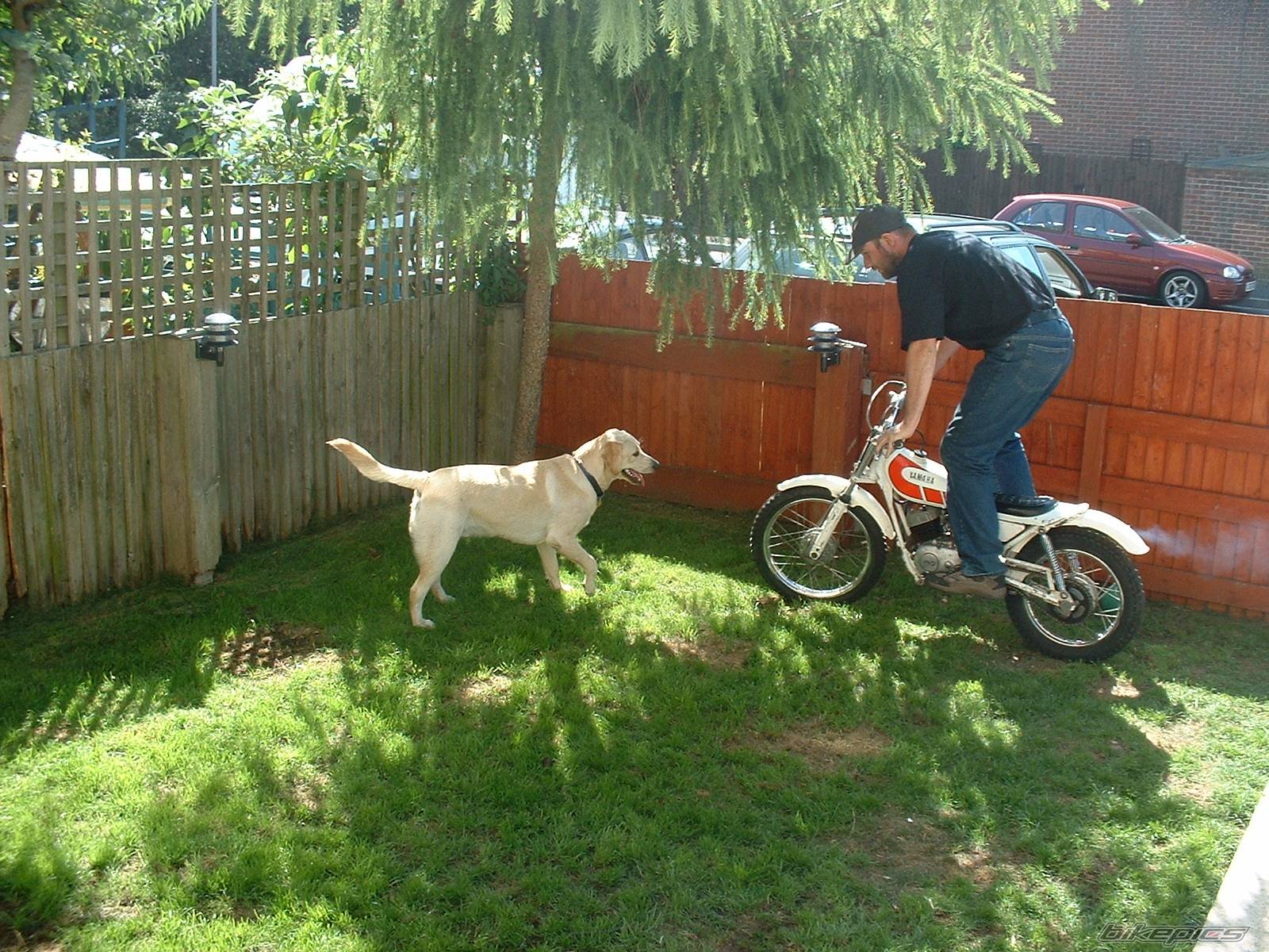 Photo 564811