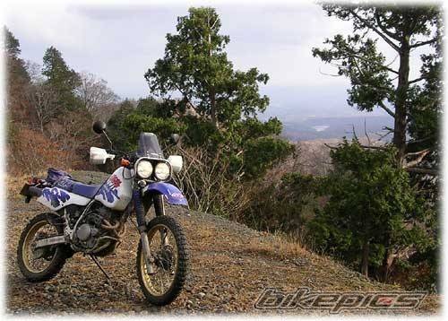 Bike Photo 565004