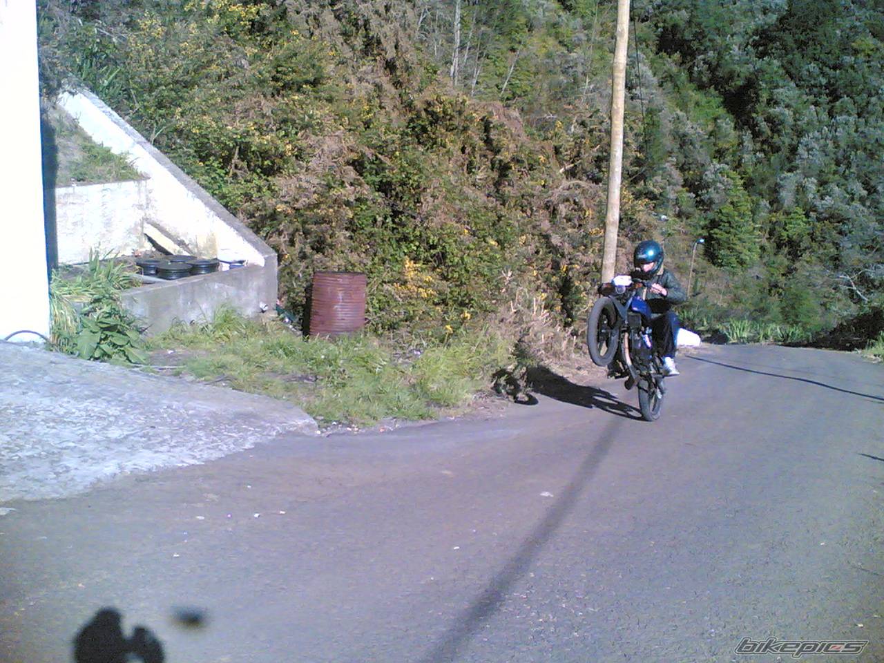 Photo 565021