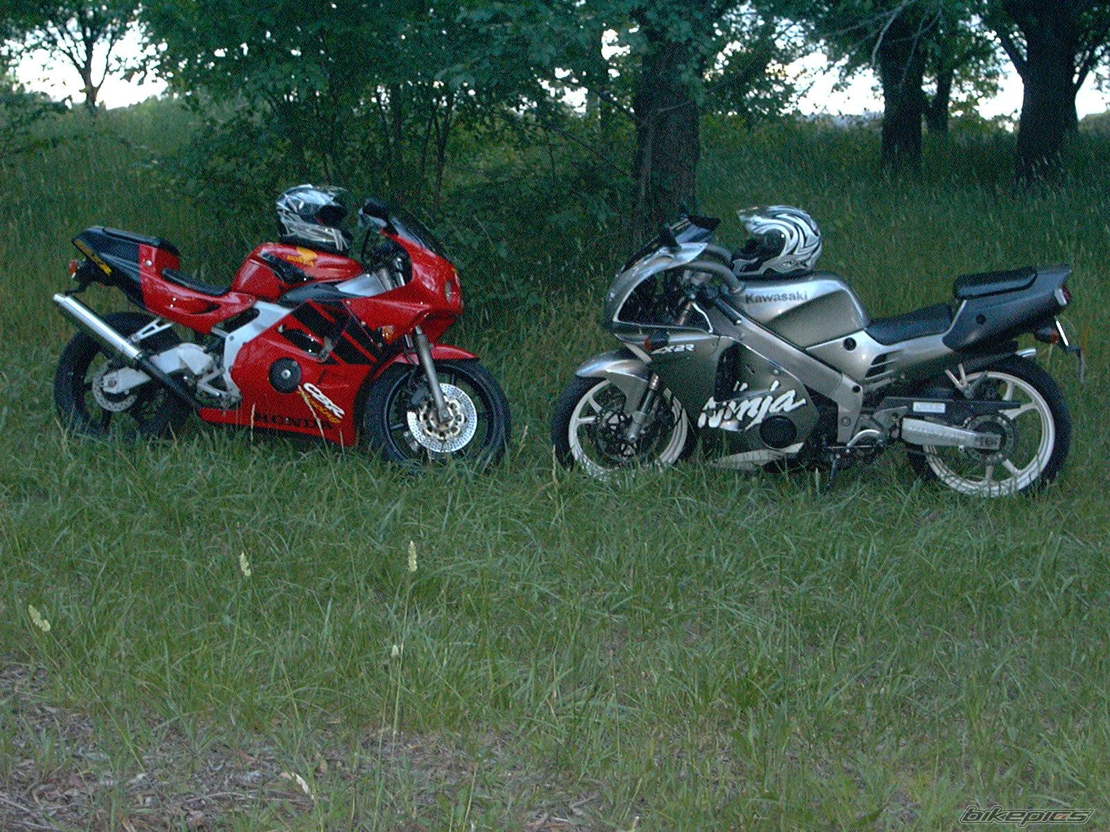 Photo 565070