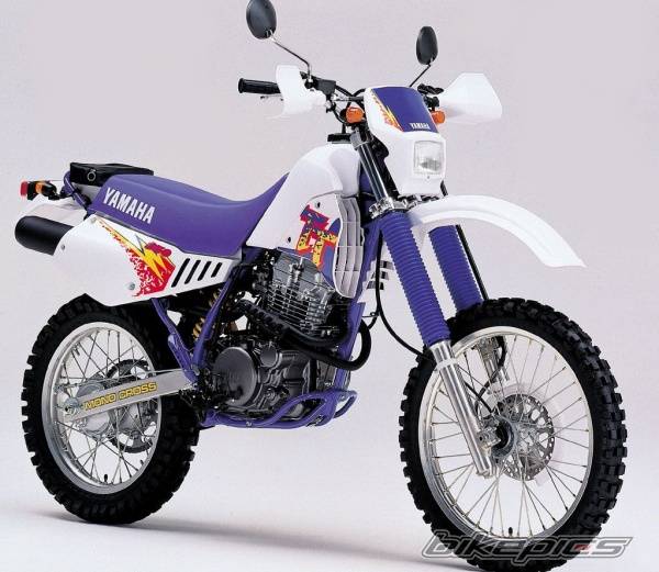 Bike Photo 5653