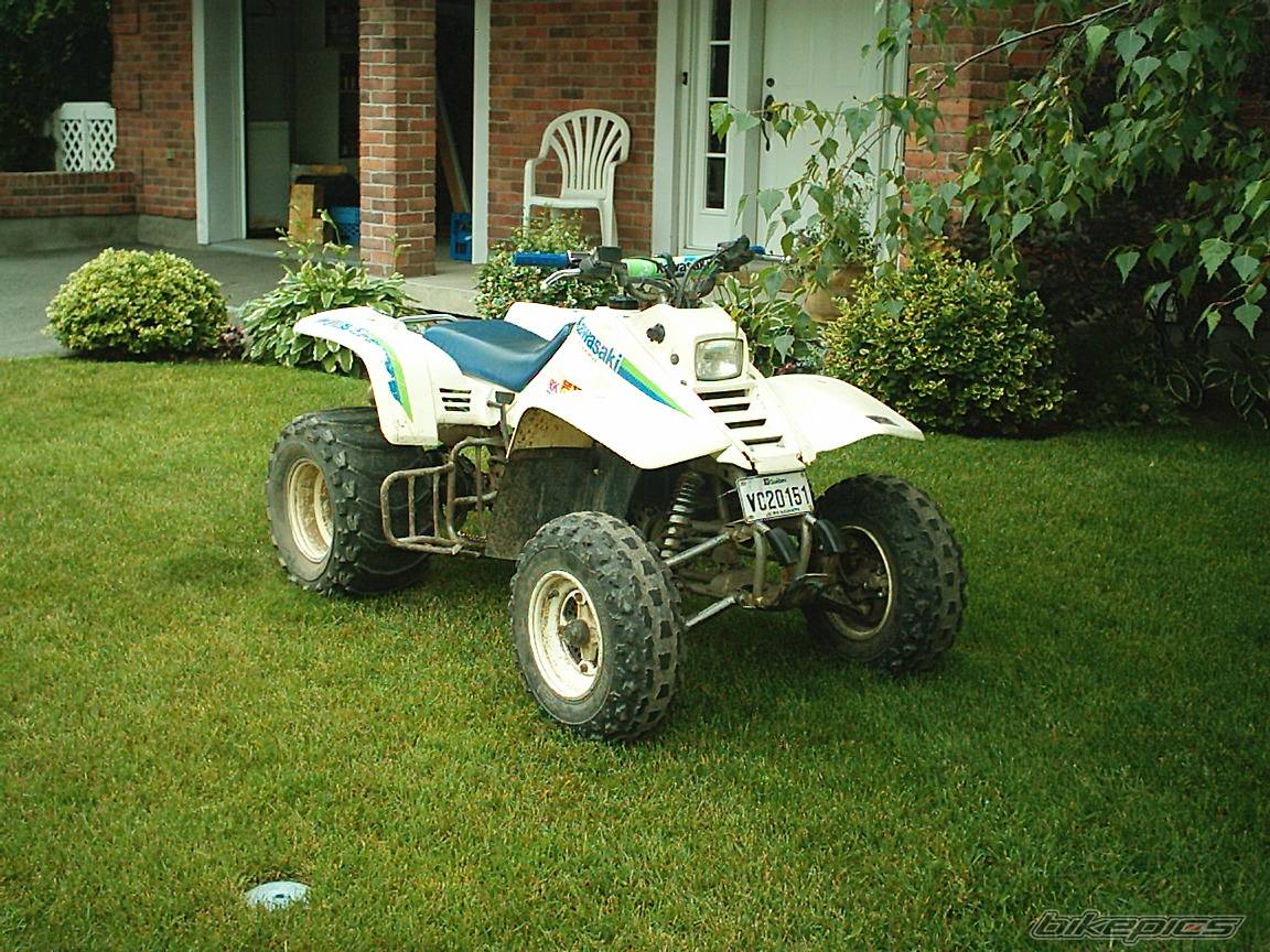 Photo 56557