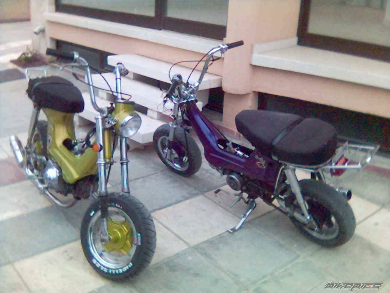 Photo 565577