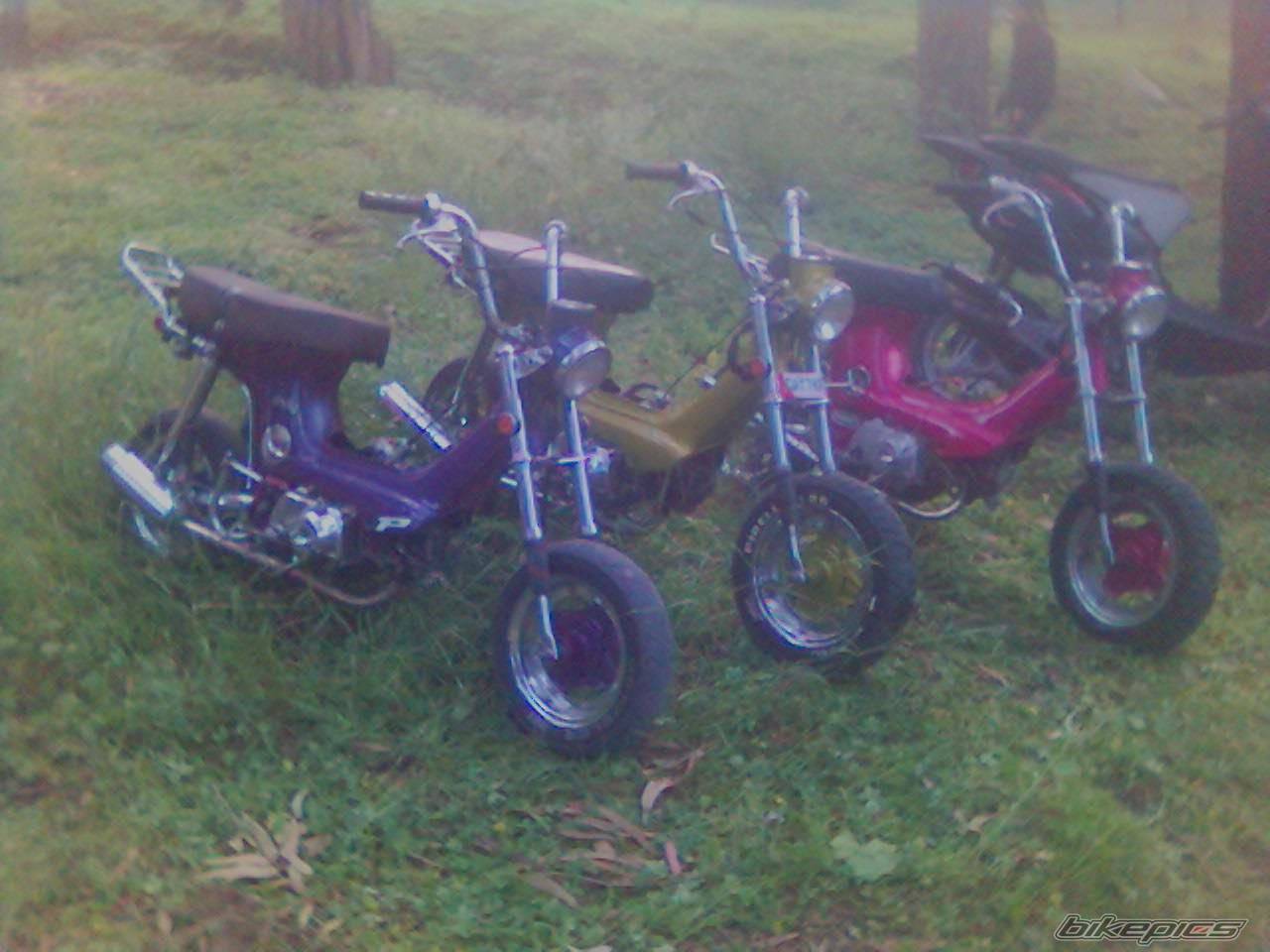 Bike Photo 565586