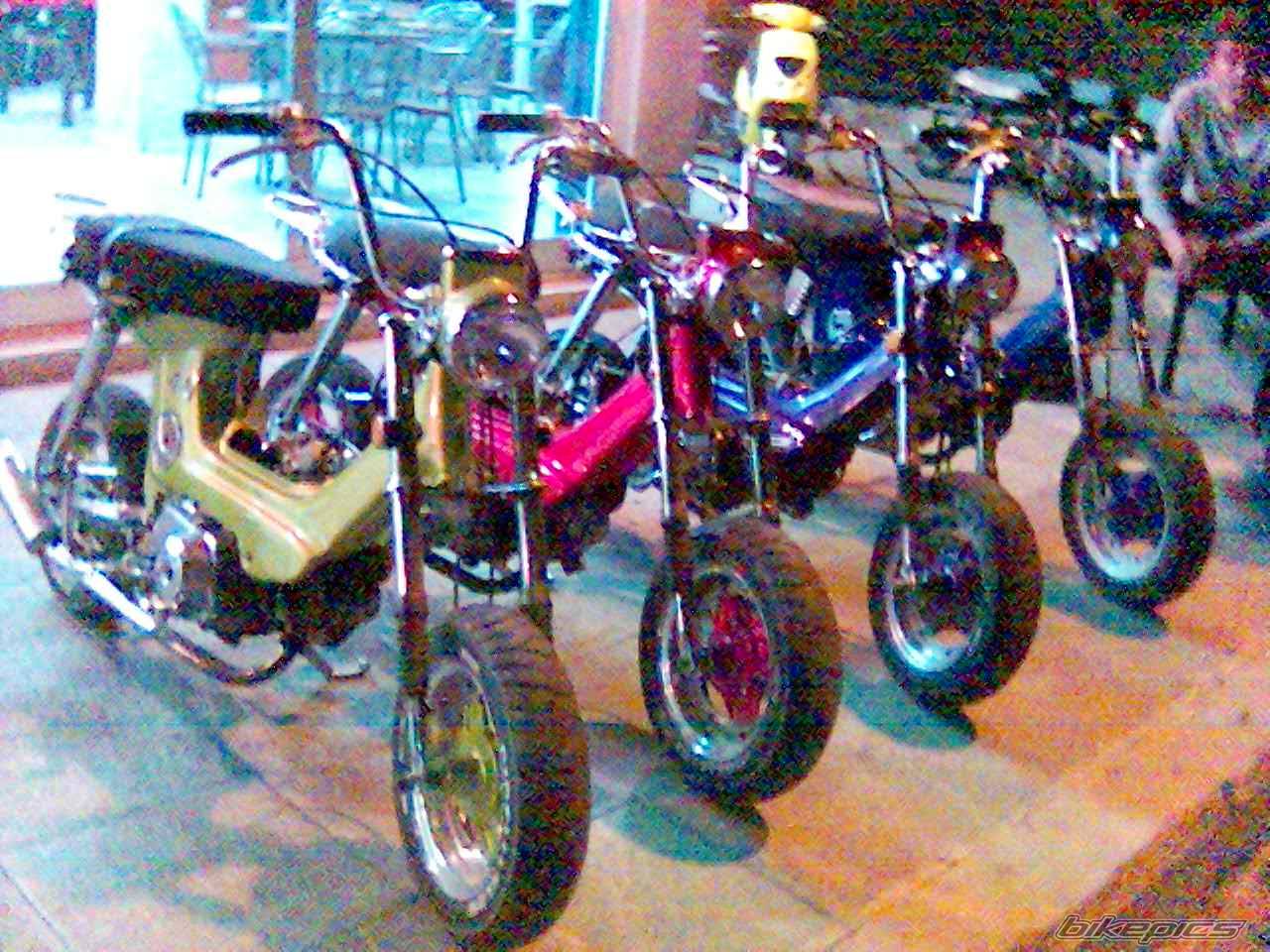 Photo 565589