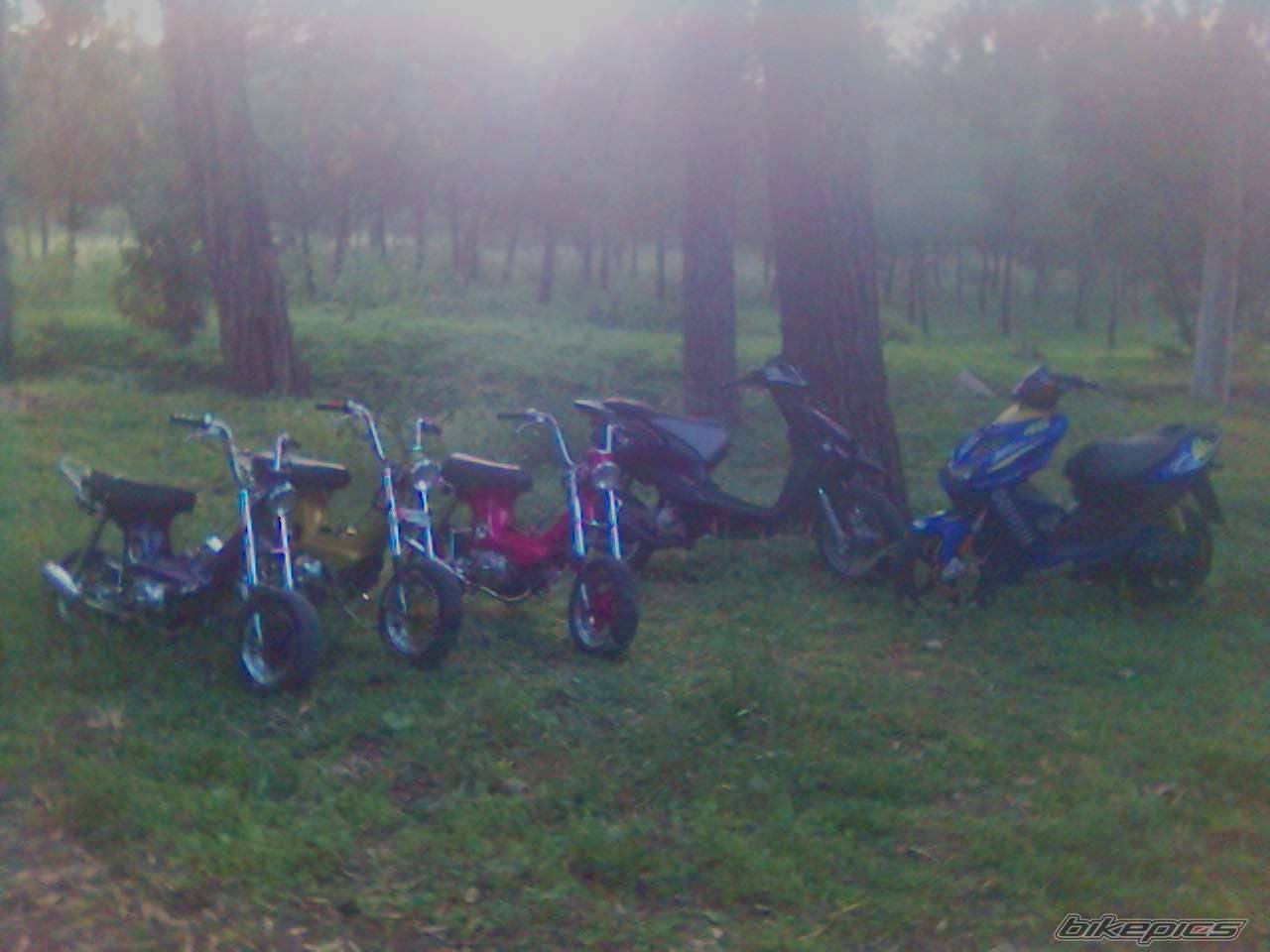 Photo 565591