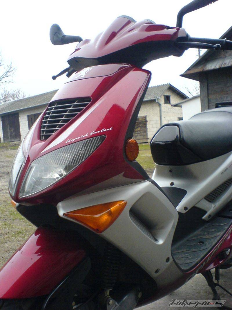 Photo 565649