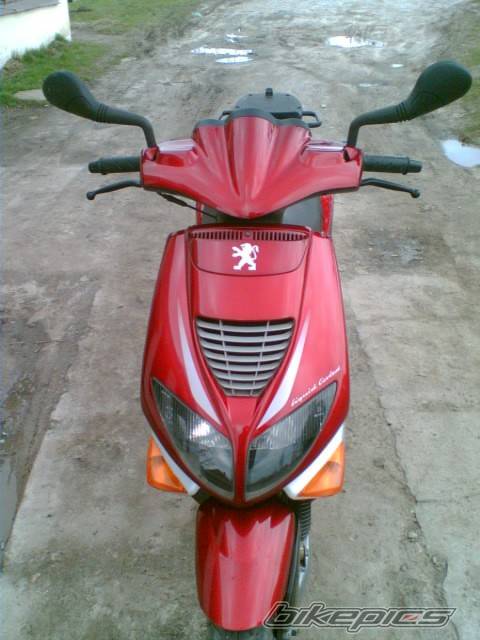Photo 565659