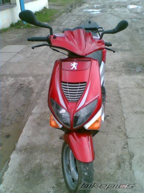 Photo 565664