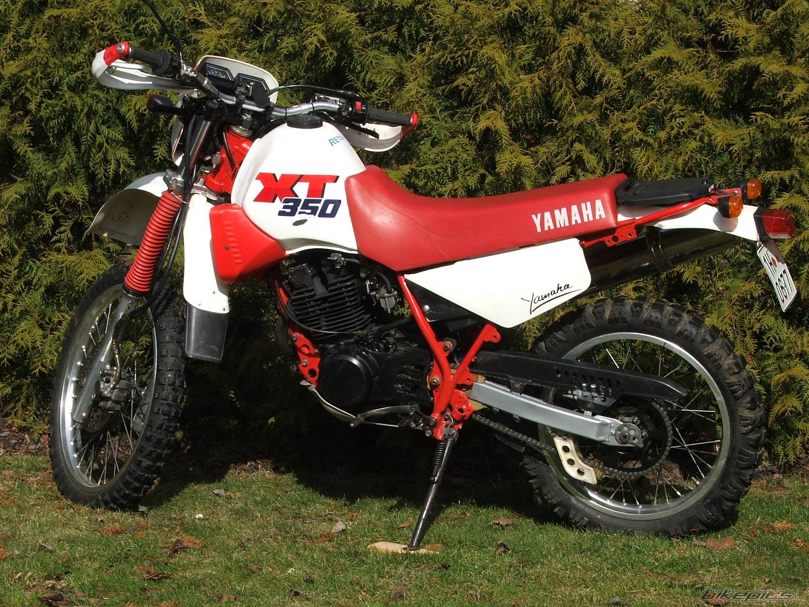 Bike Photo 565688