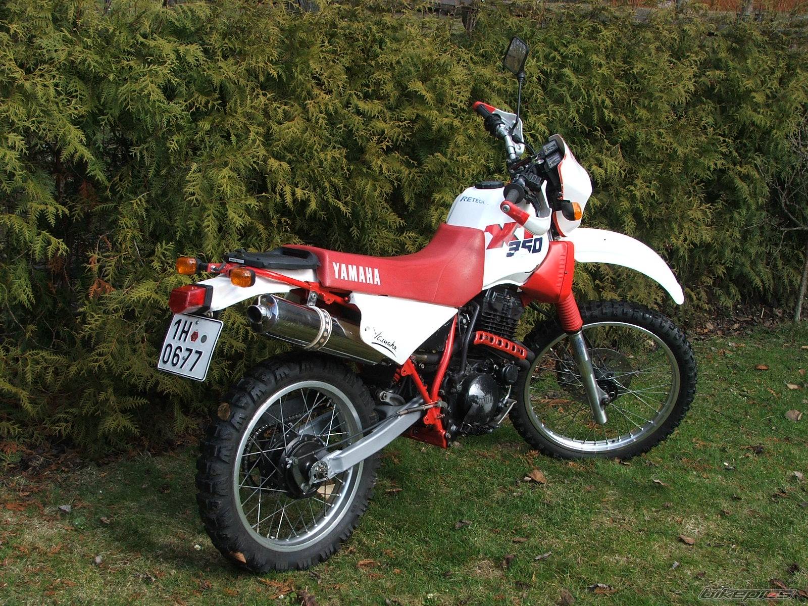 Bike Photo 565696