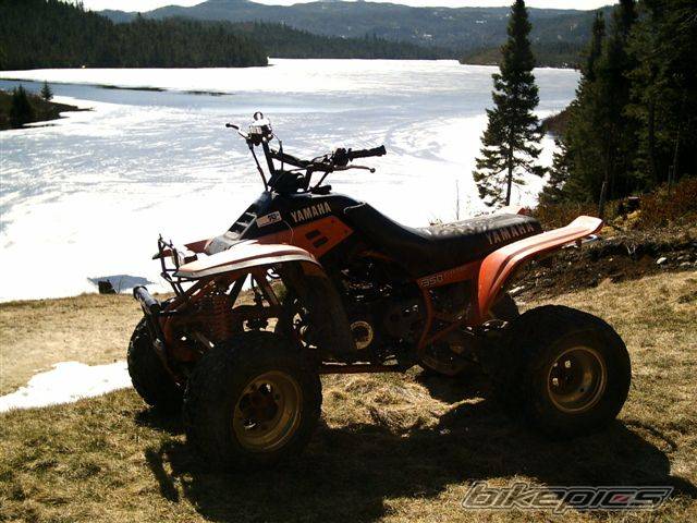 Photo 565722