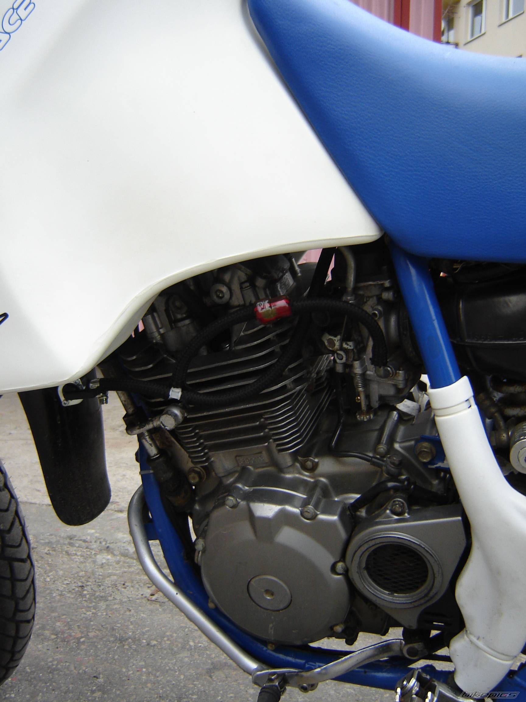 Bike Photo 565806