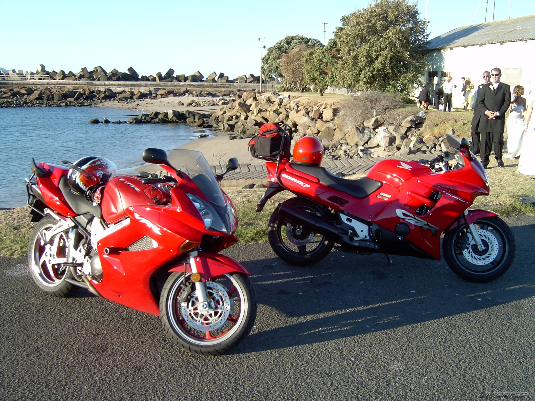 Photo 566193
