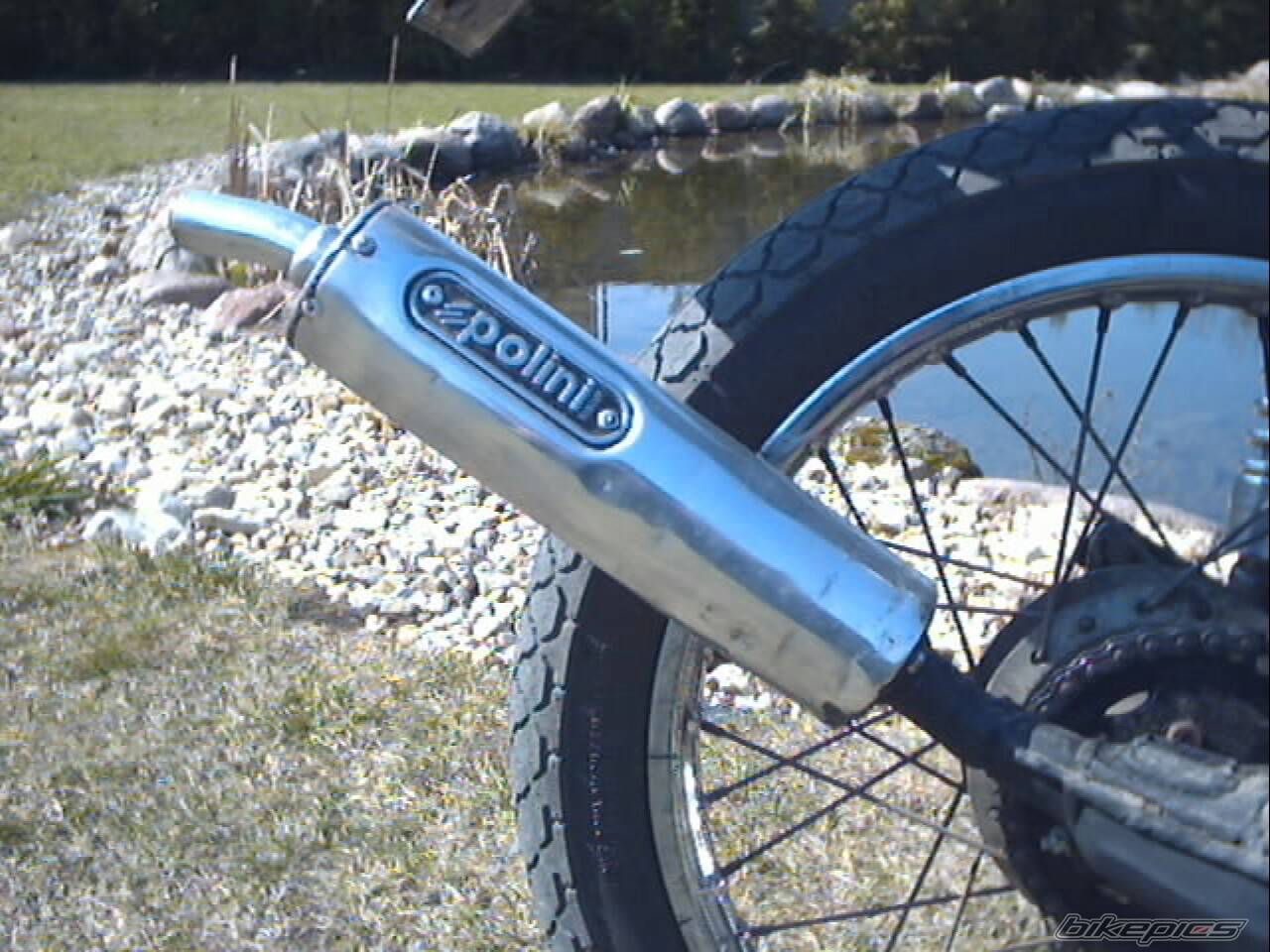 Photo 566427