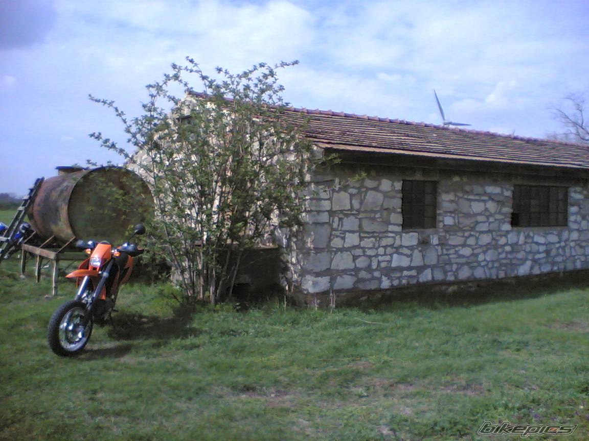 Photo 566444