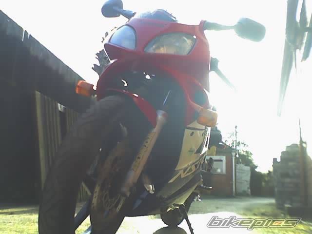 Photo 566655