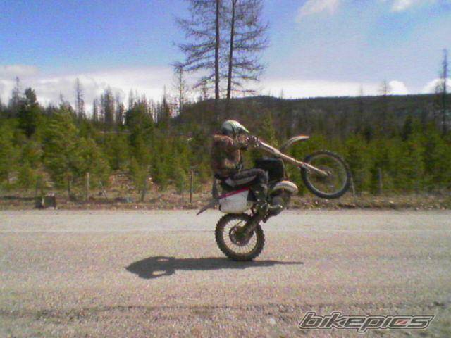 Photo 566974