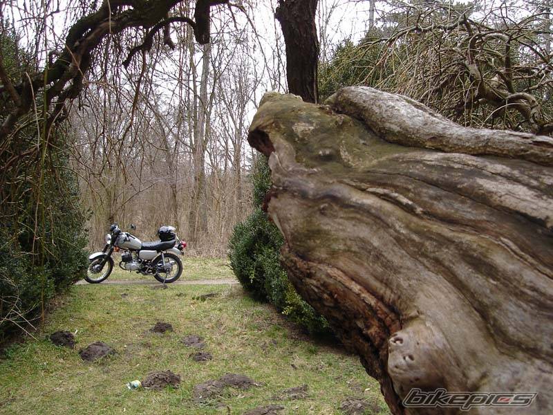 Bike Photo 567241