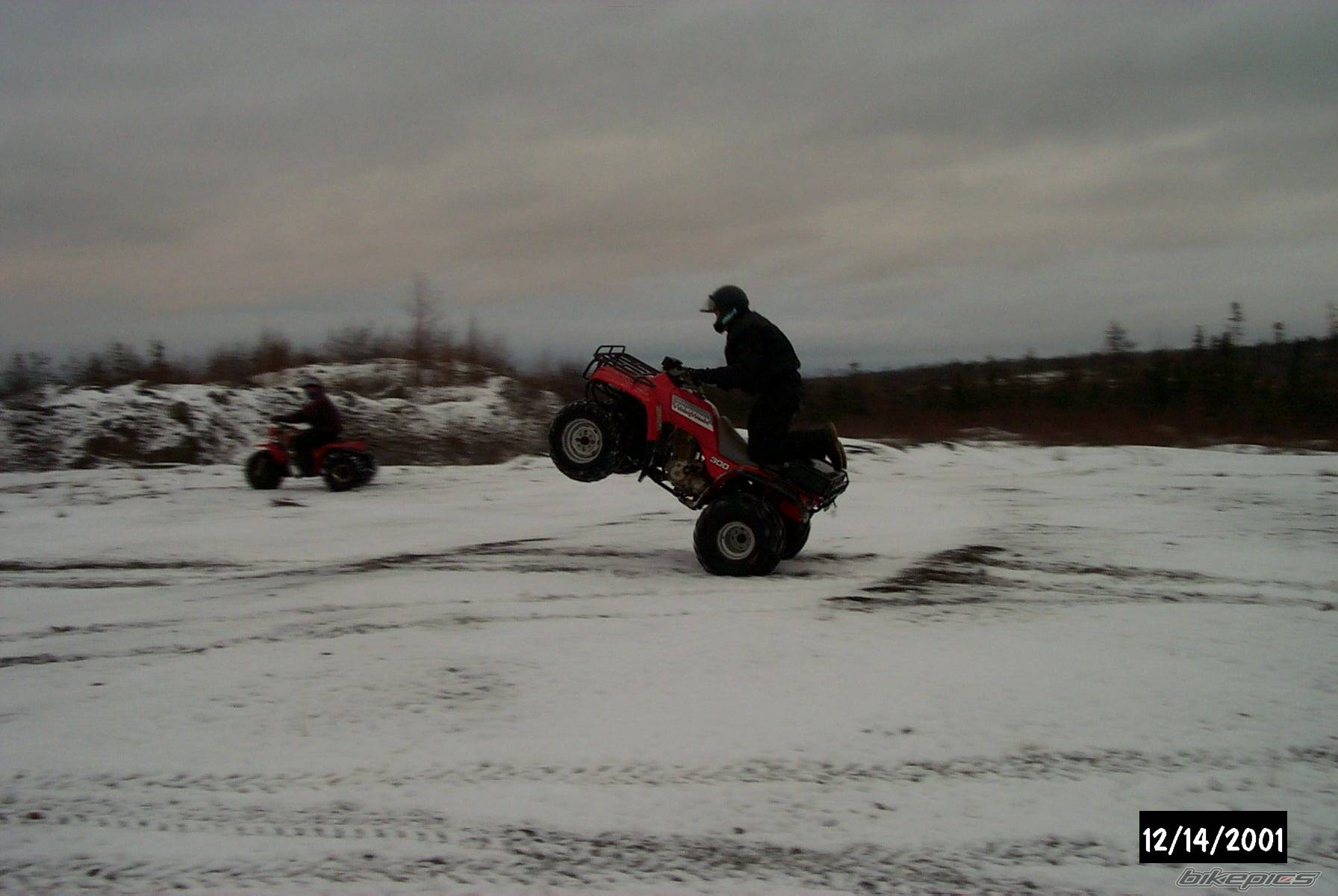 Photo 56741