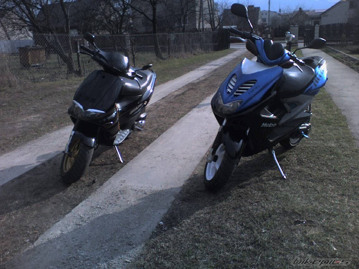 Photo 567431
