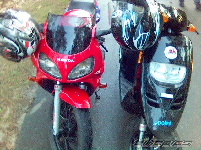 Photo 567493