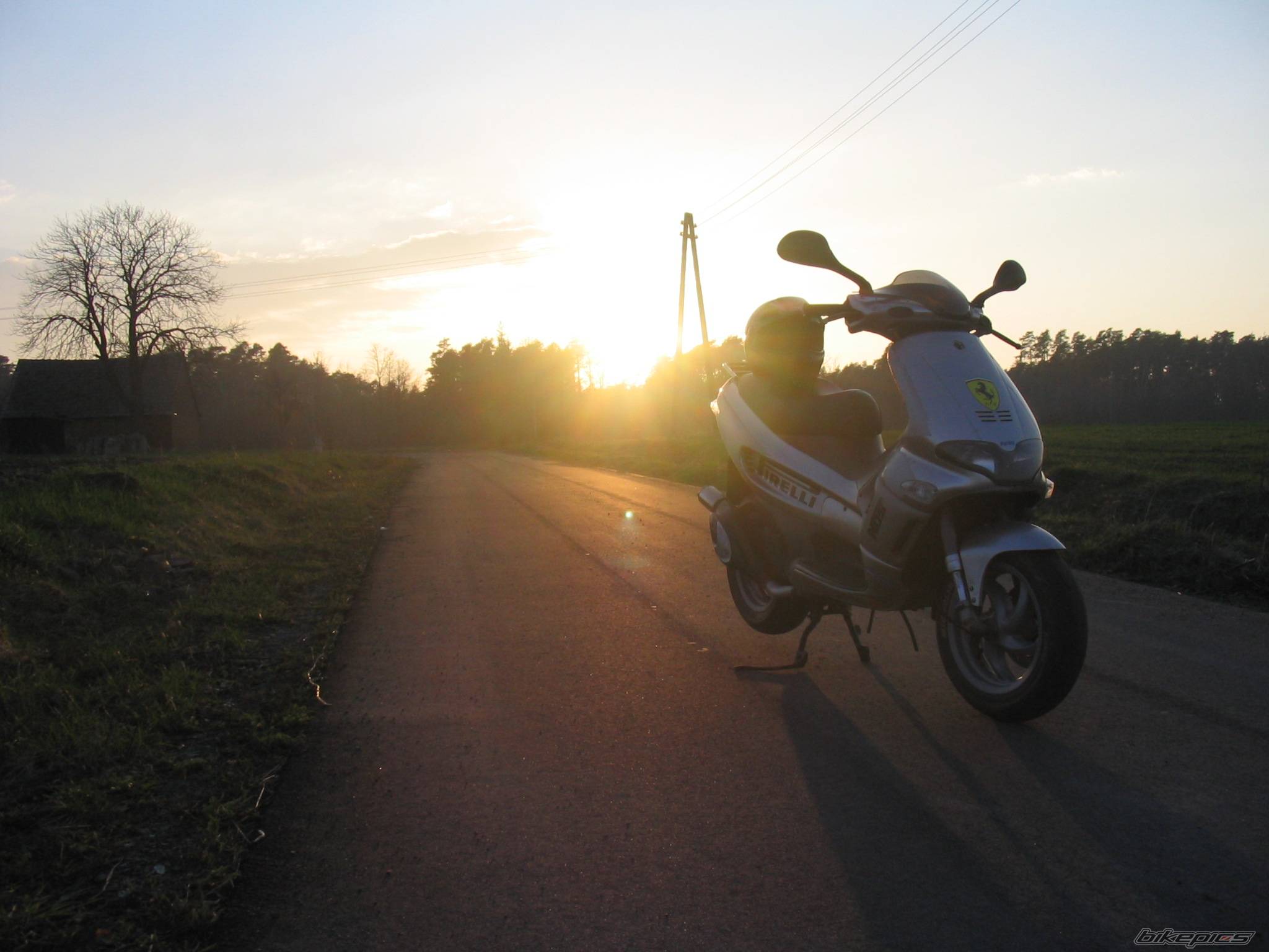 Photo 567496