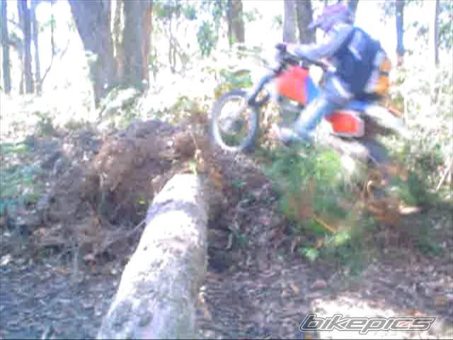 Photo 567912