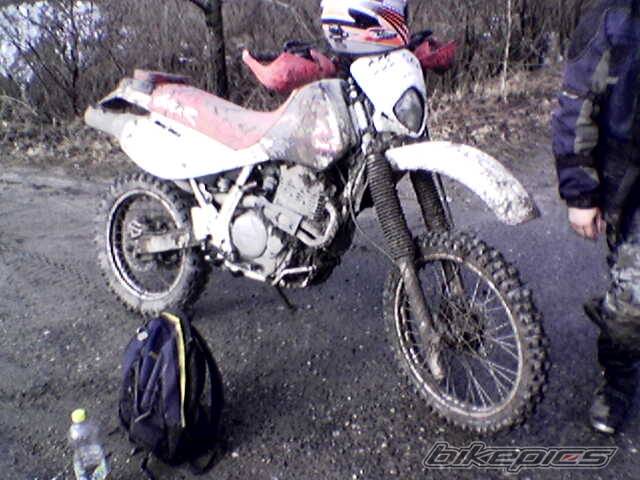 Bike Photo 567942