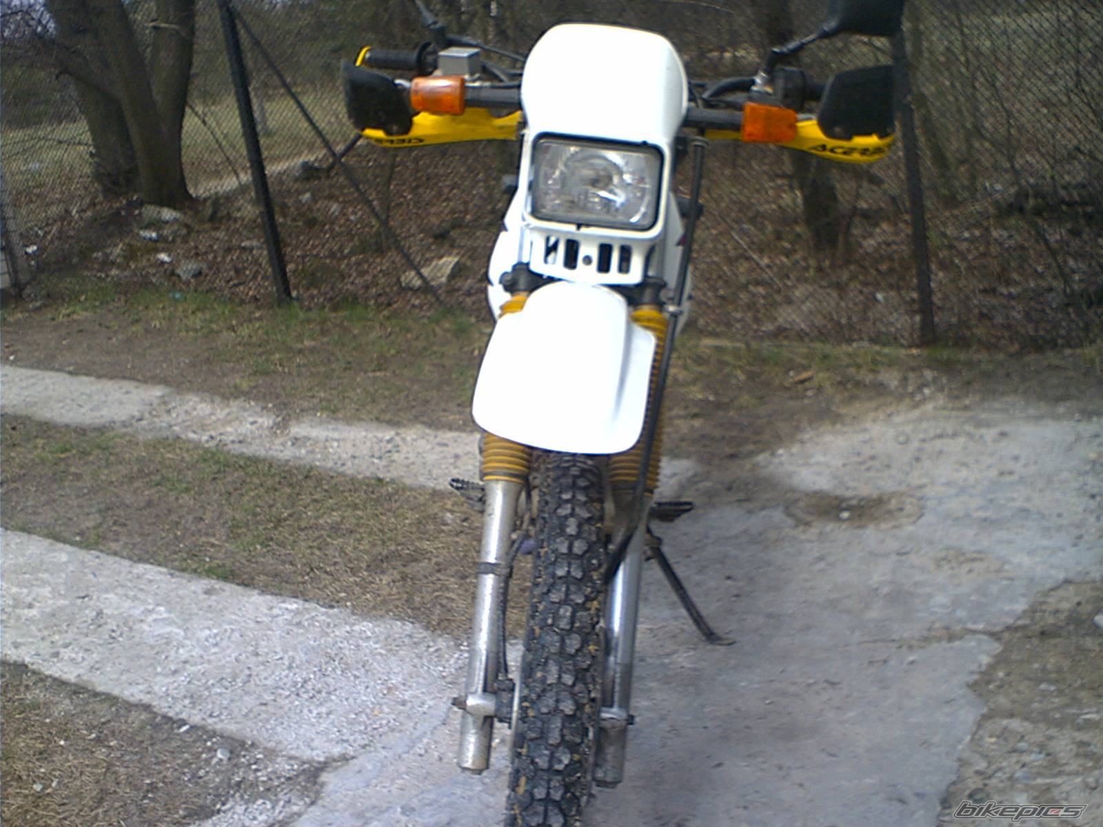 Photo 568071