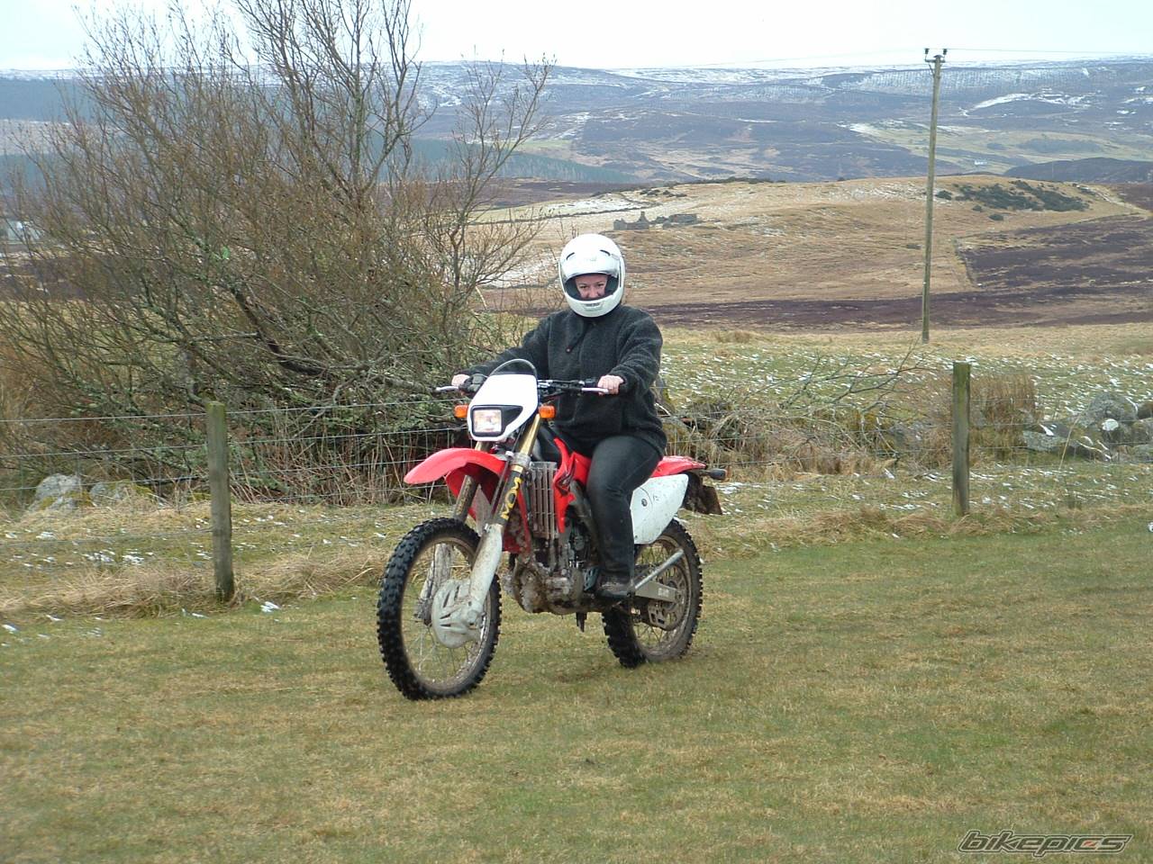 Bike Photo 568249