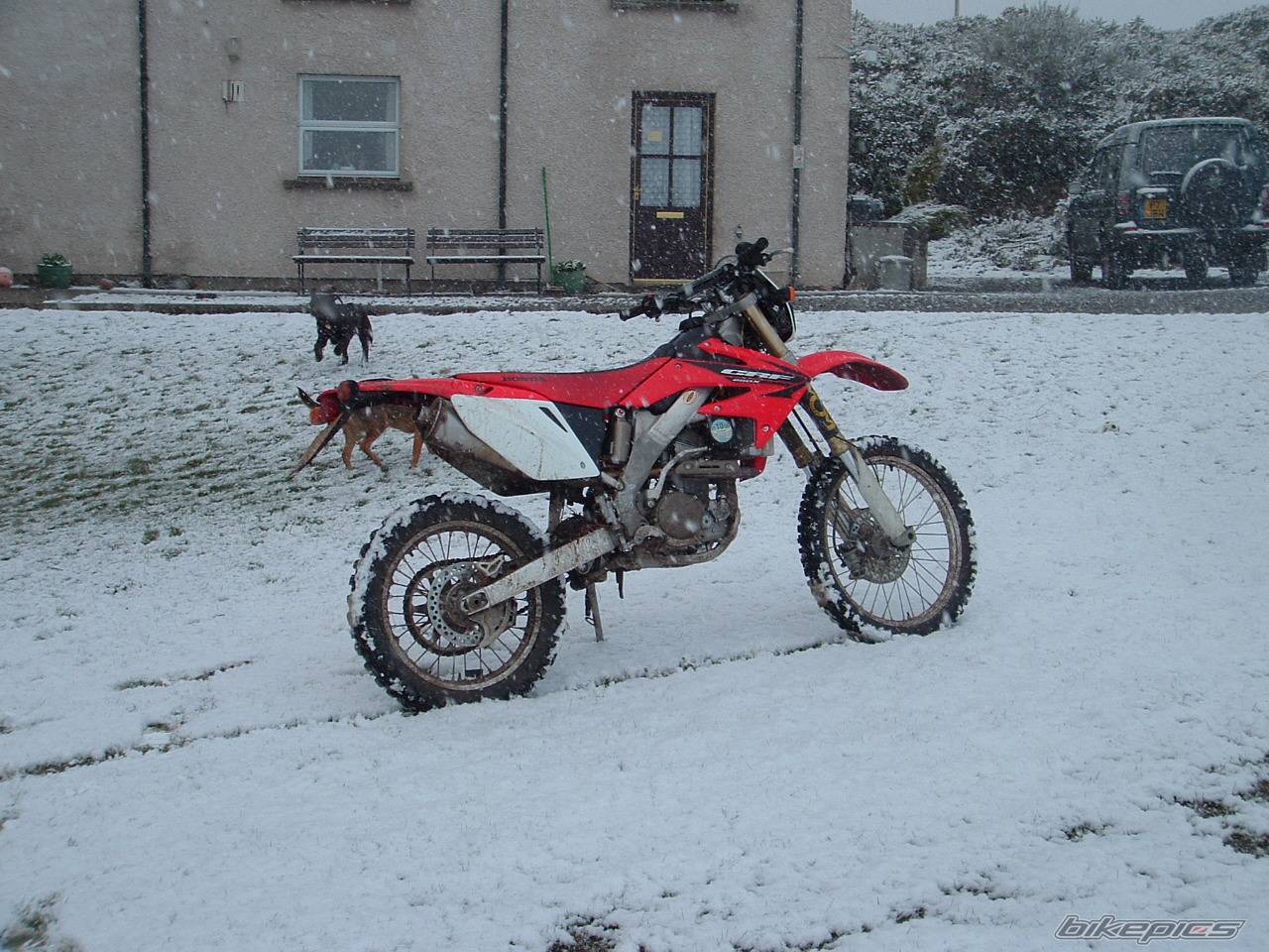Bike Photo 568252