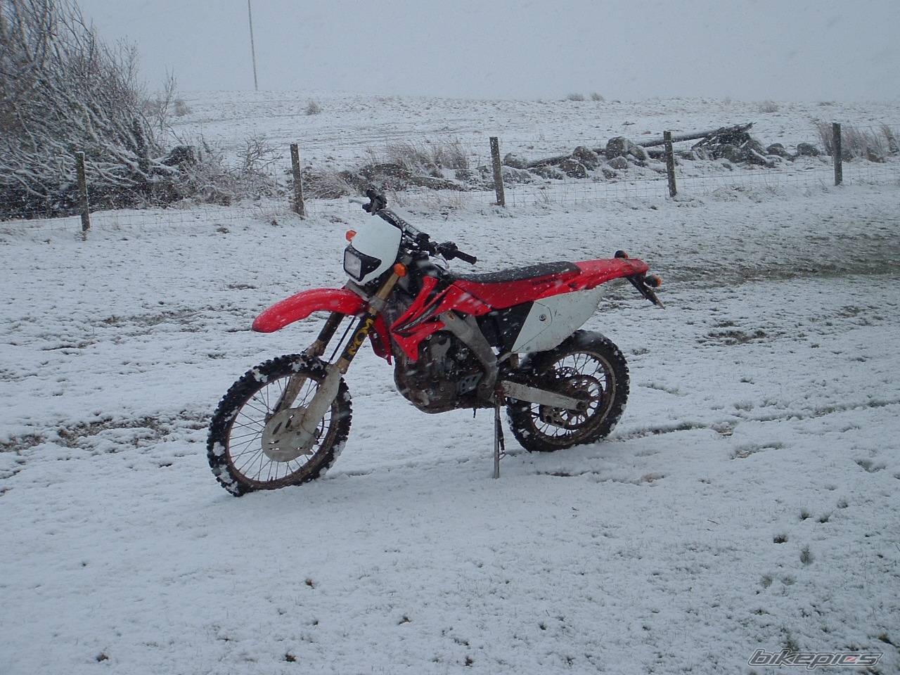 Bike Photo 568262