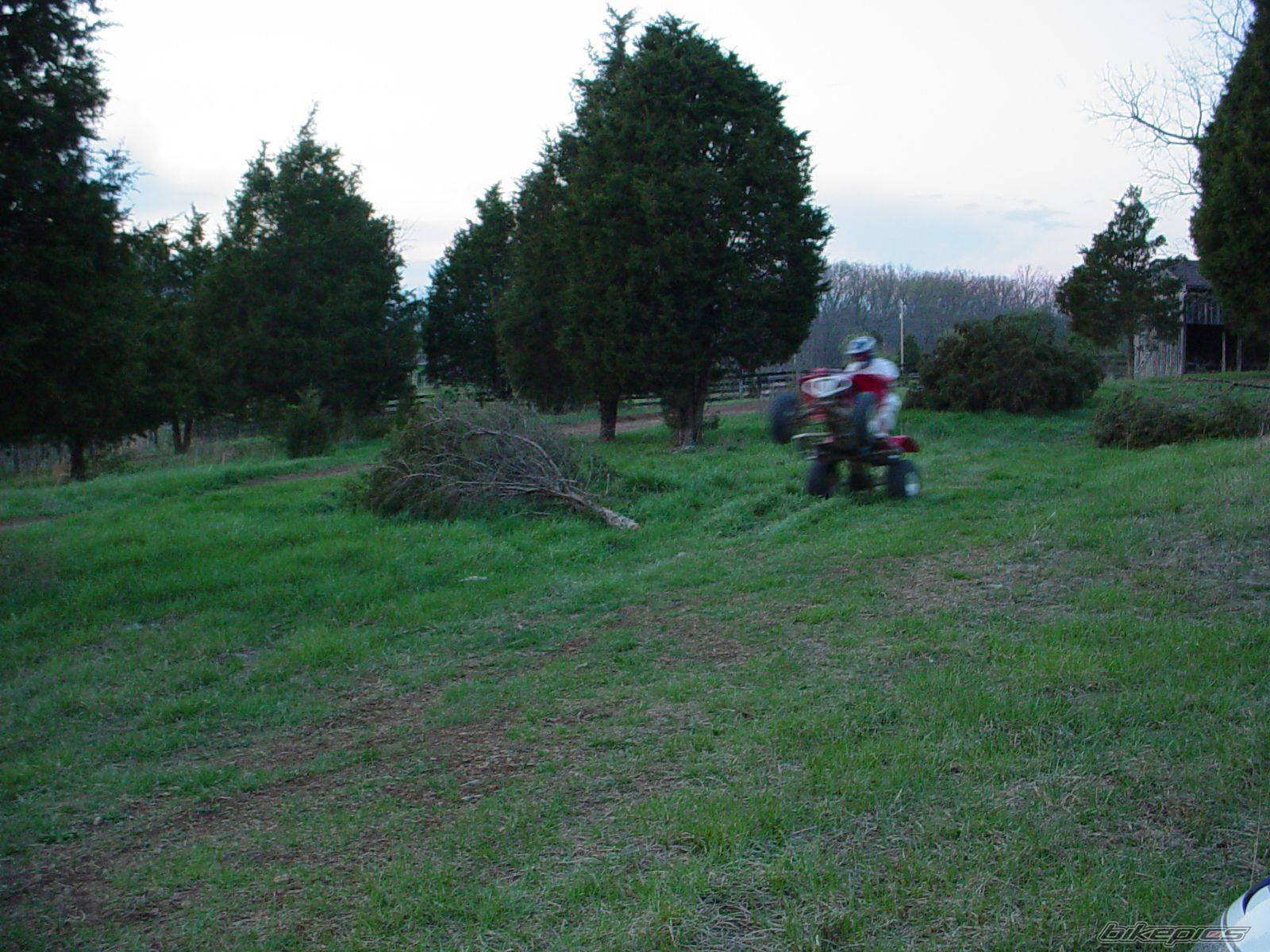 Photo 568579