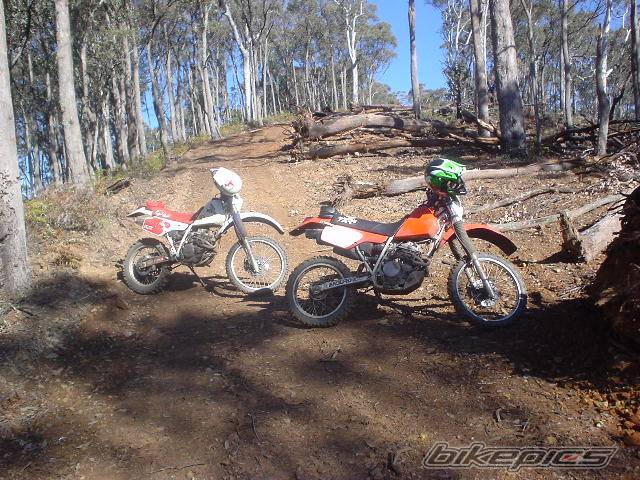 Bike Photo 568622