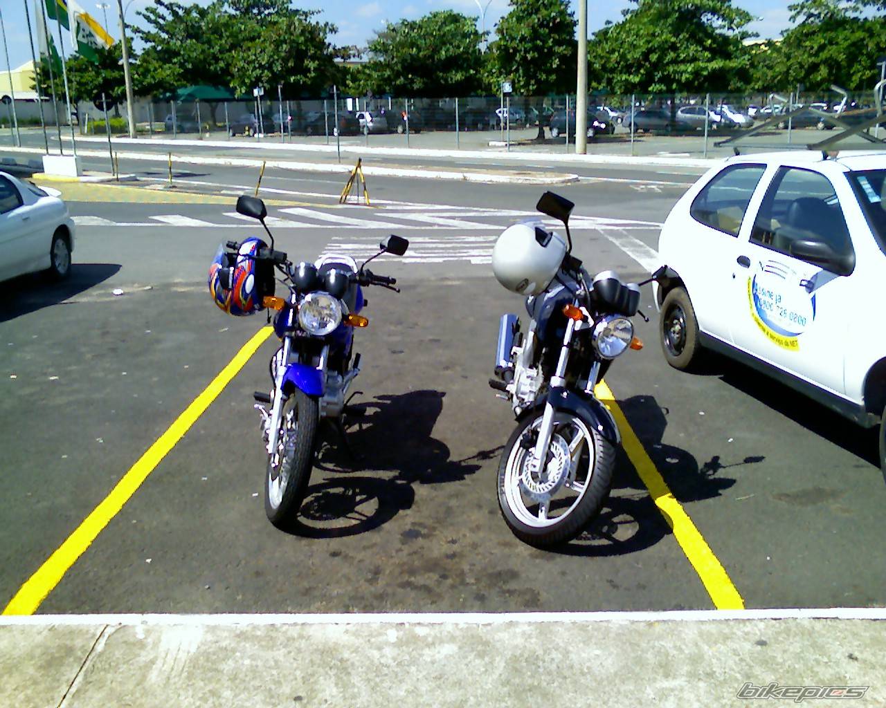 Photo 568726