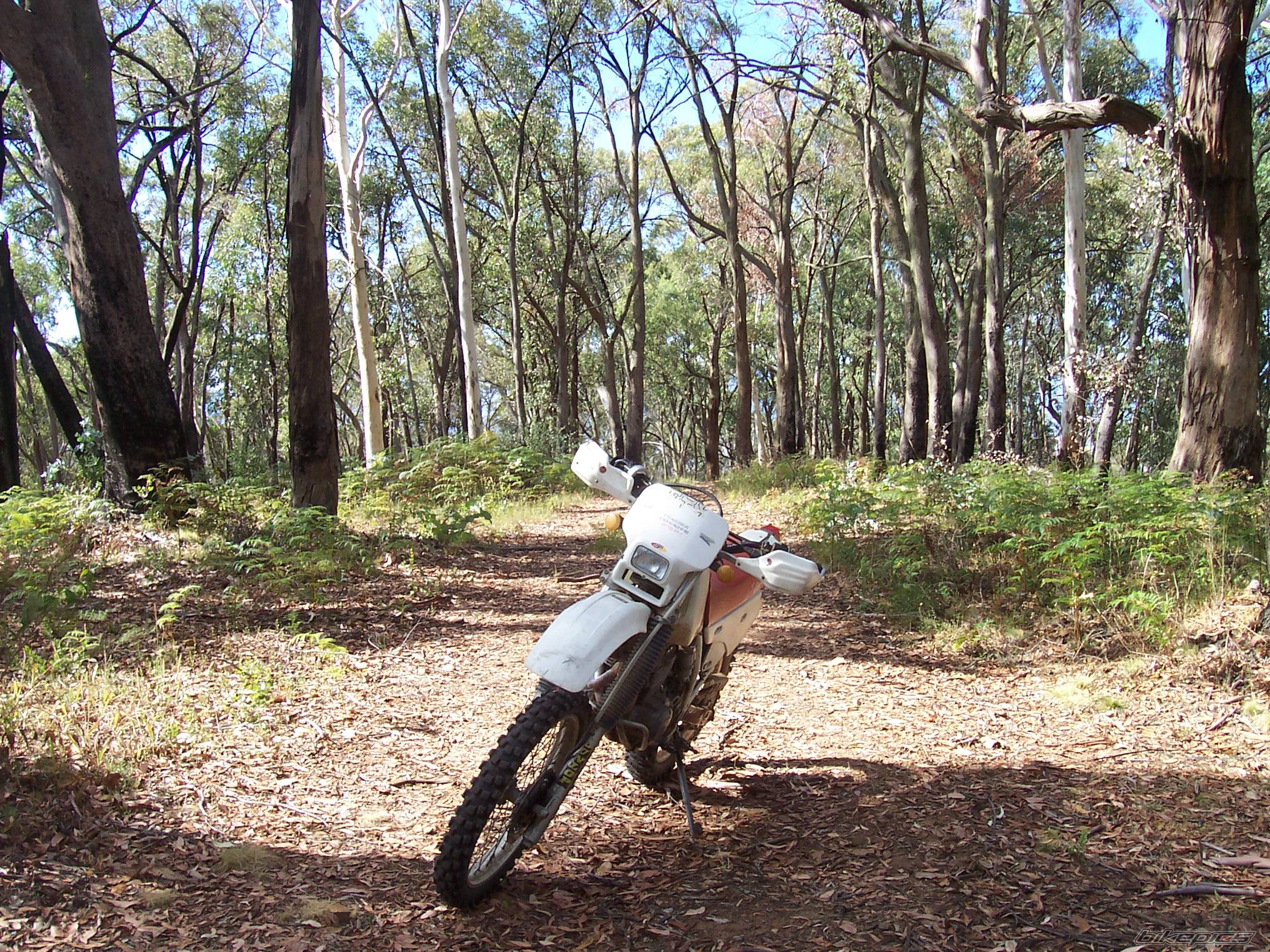 Bike Photo 568762