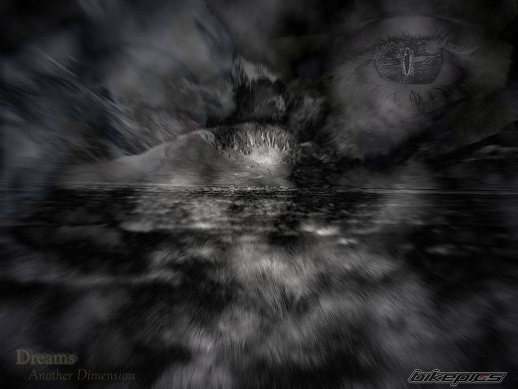 Photo 568862