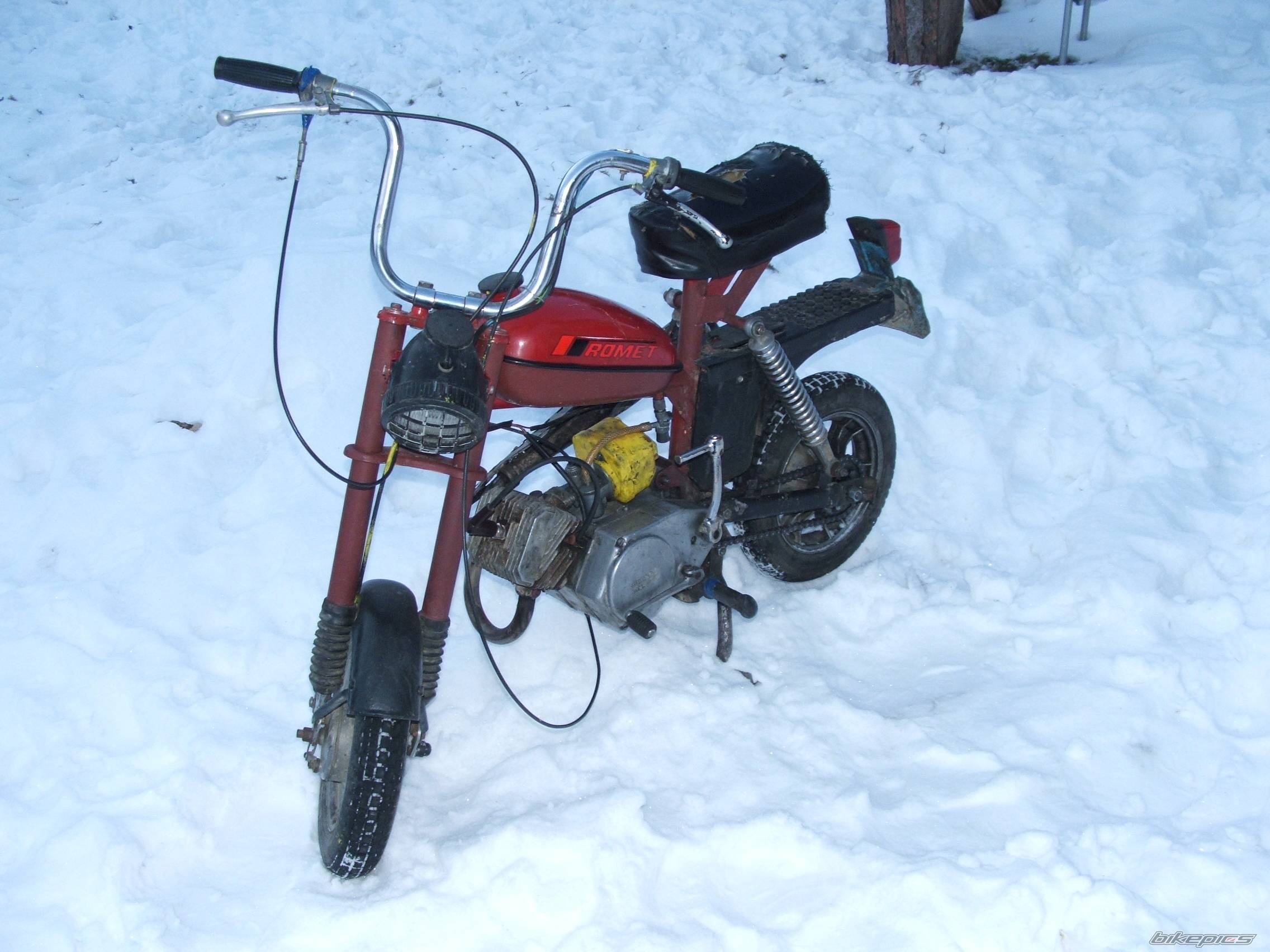 Photo 568963