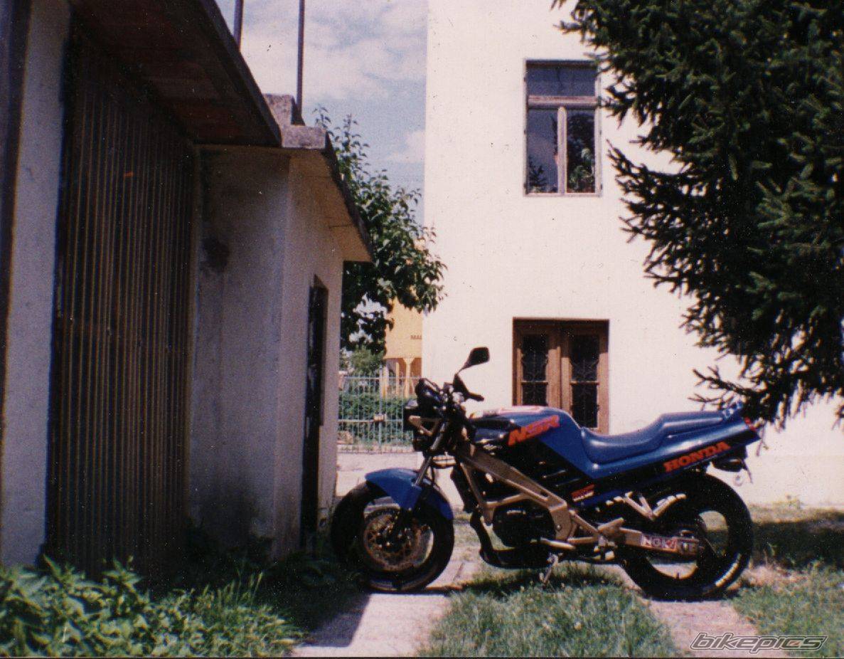 Photo 568996