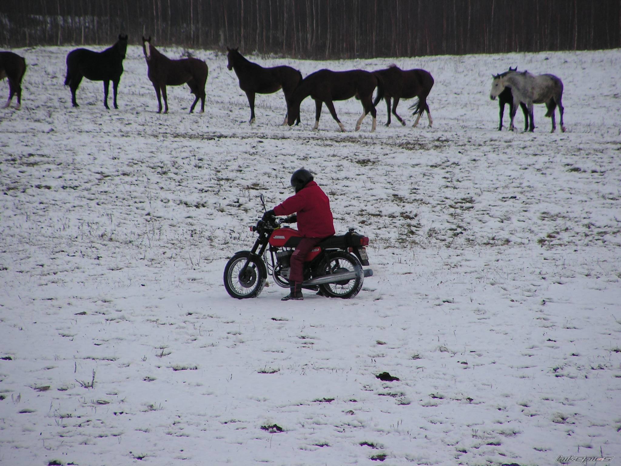 Photo 569239