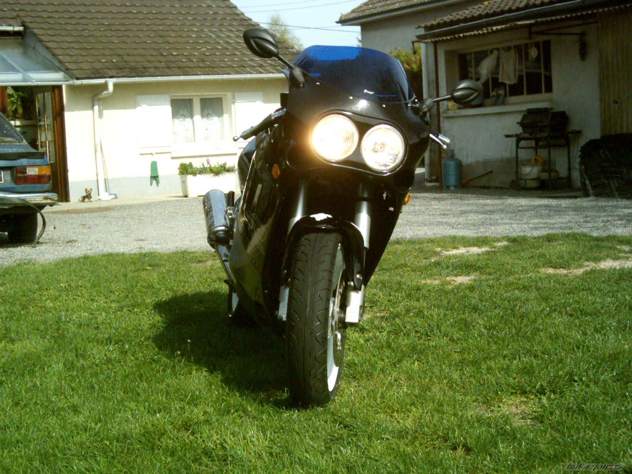 Photo 569286