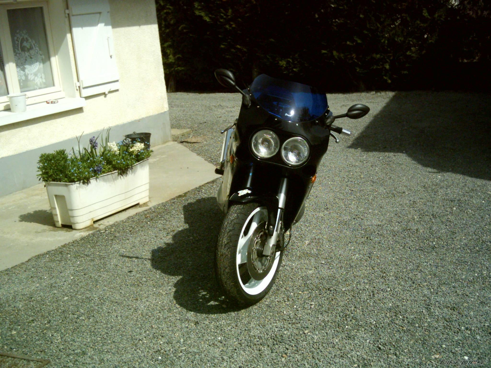 Photo 569287