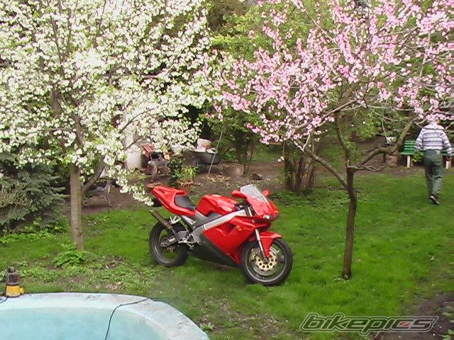 Photo 569421