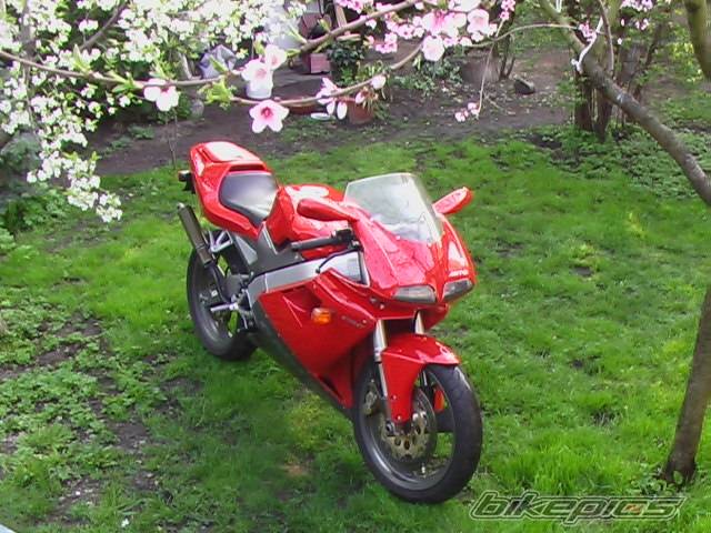 Bike Photo 569473