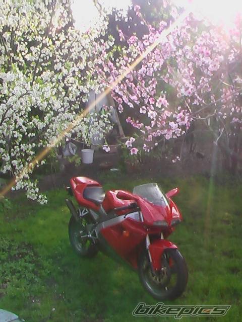 Bike Photo 569476