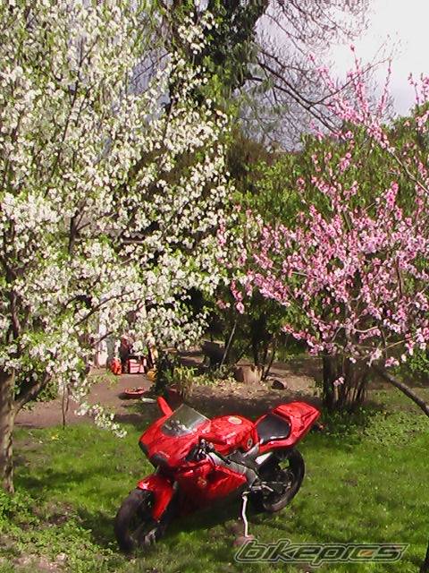 Photo 569486