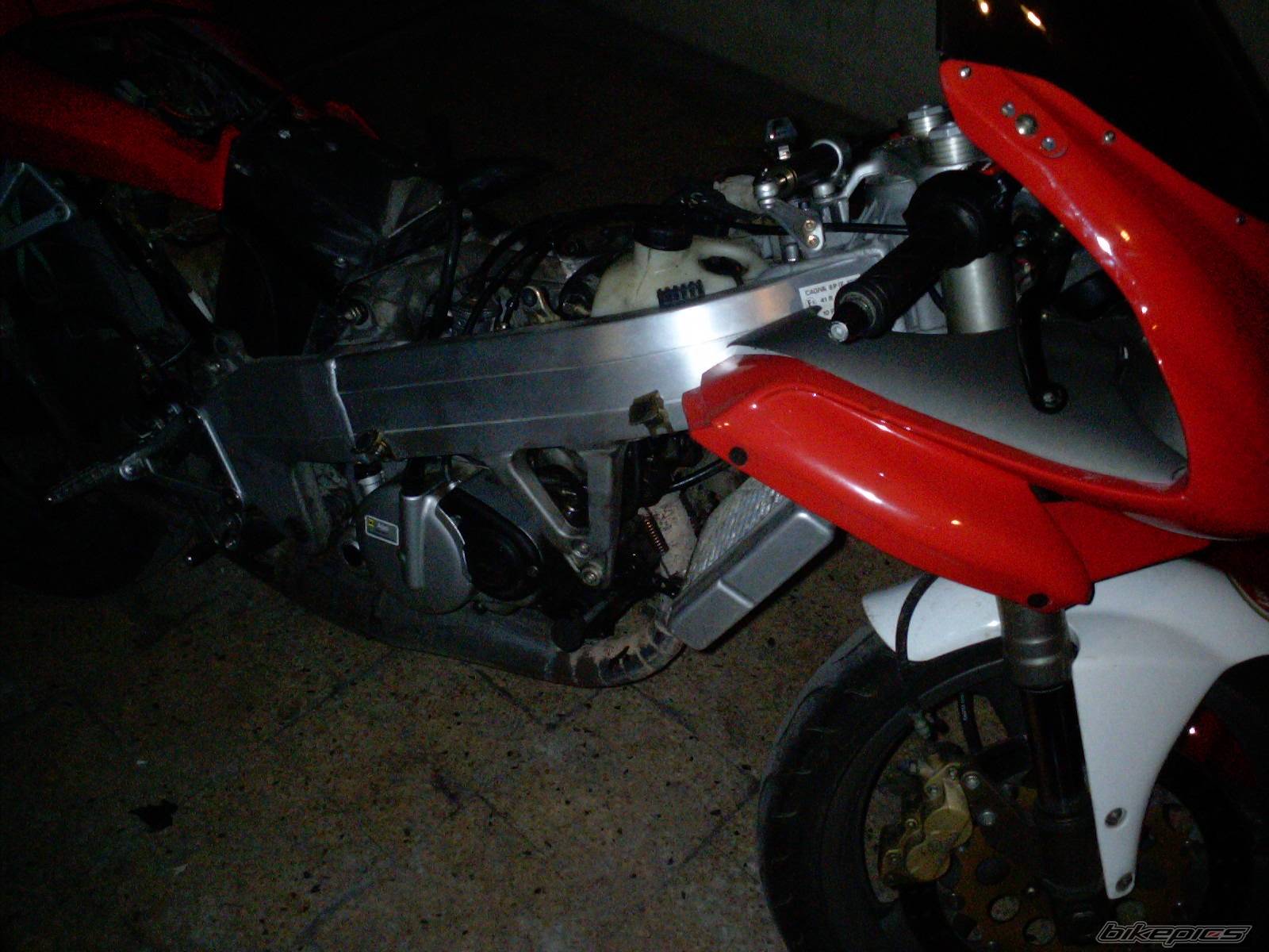 Photo 569971