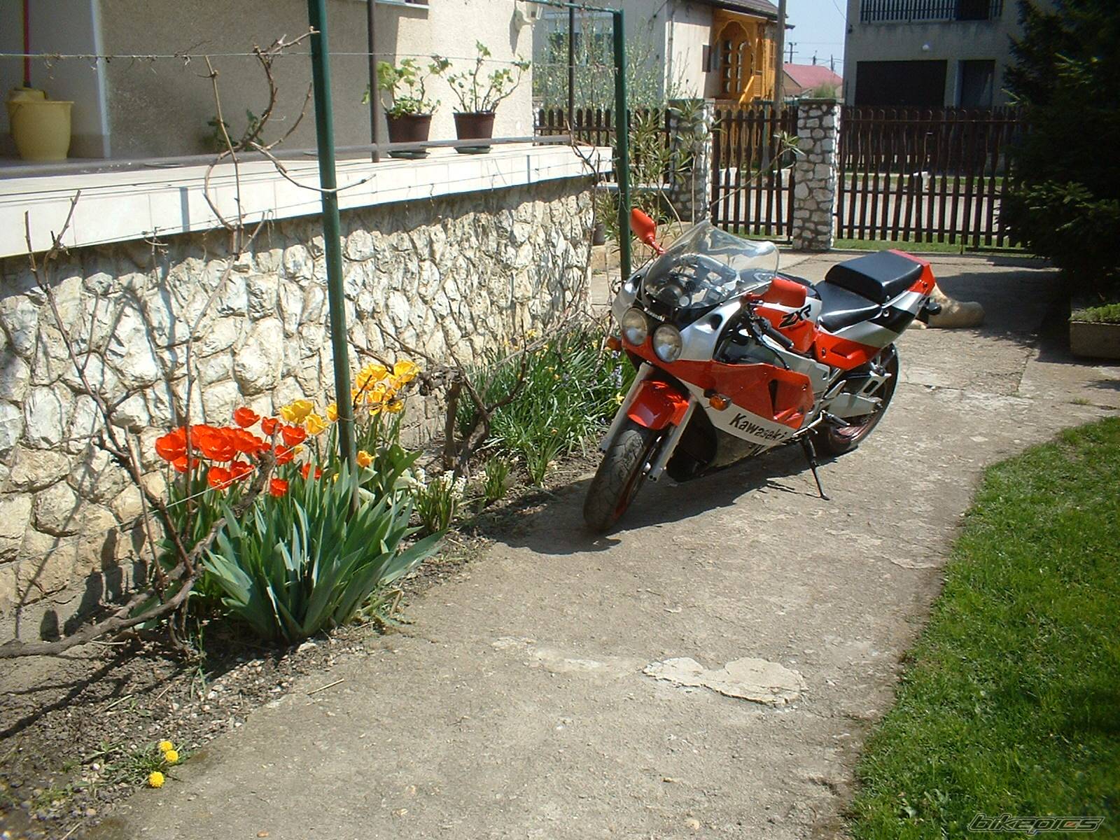 Photo 569978