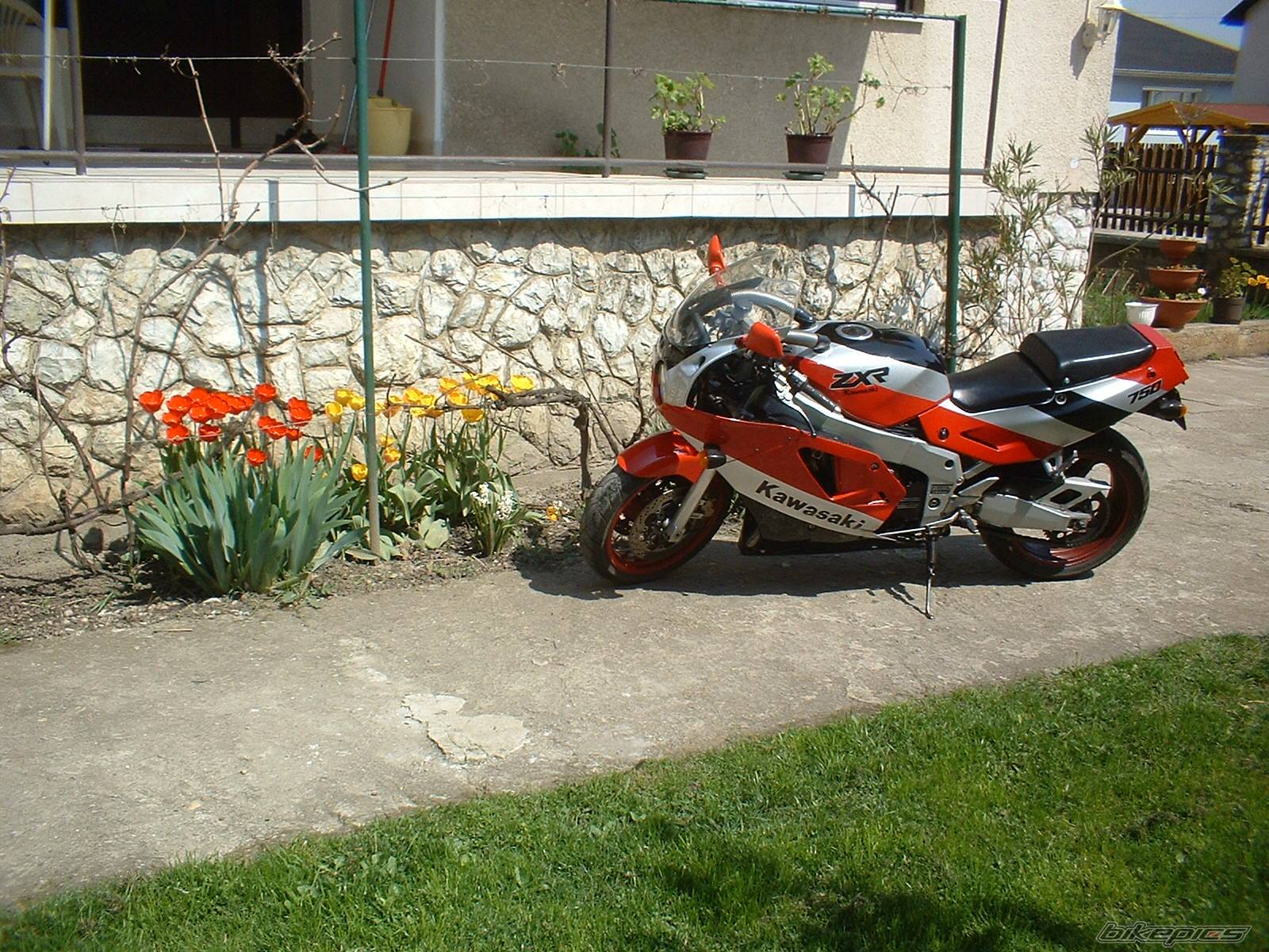 Photo 569979